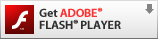 Adobe Flash Player下載